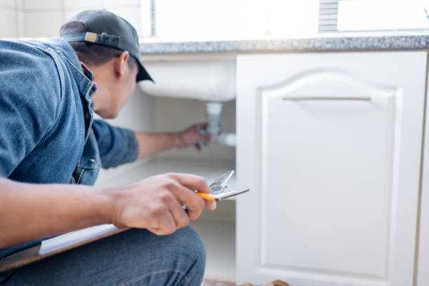 Best Plumbing Inspection Services  in Tiptonville, TN