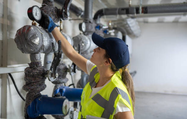 Best Affordable Plumbing Services  in Tiptonville, TN