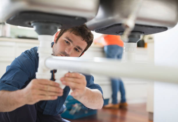 Best Clogged Drain Plumber  in Tiptonville, TN