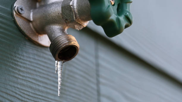 Best Drain Cleaning Services  in Tiptonville, TN