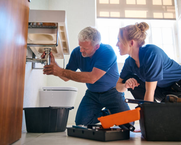 Best Clogged Drain Plumber  in Tiptonville, TN